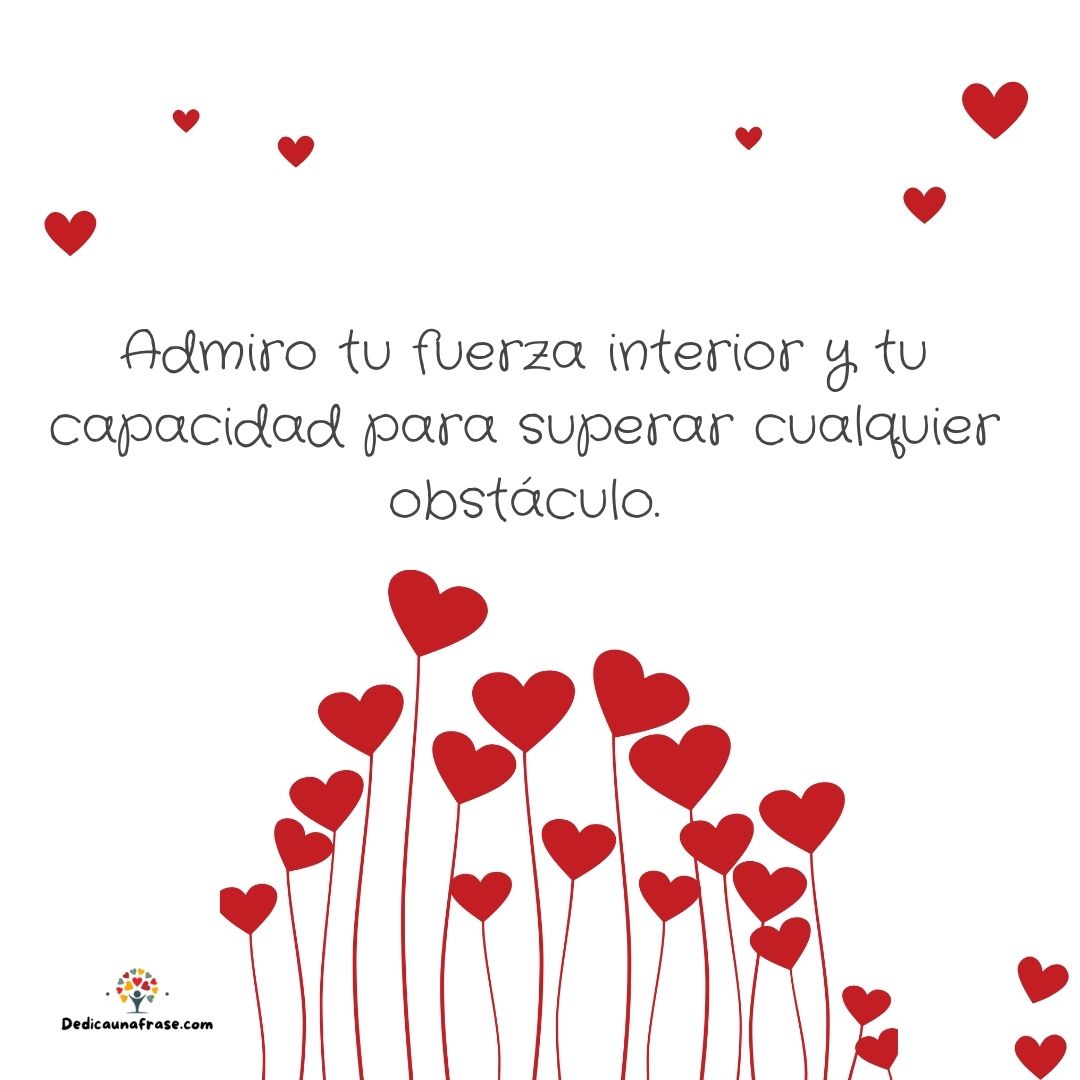 Admiro tu fuerza interior y tu capacidad para superar cualquier obstáculo
