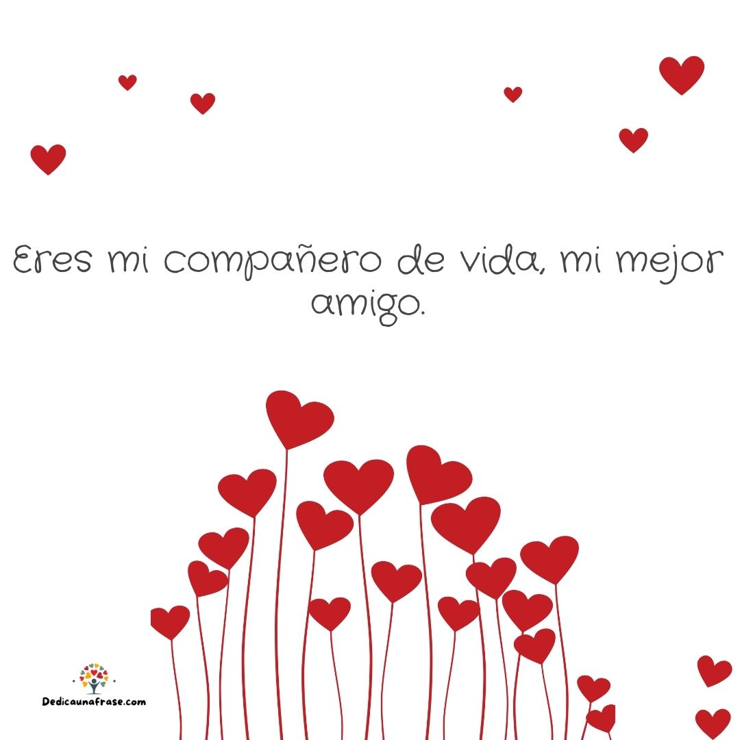 Eres mi compañero de vida mi mejor amigo