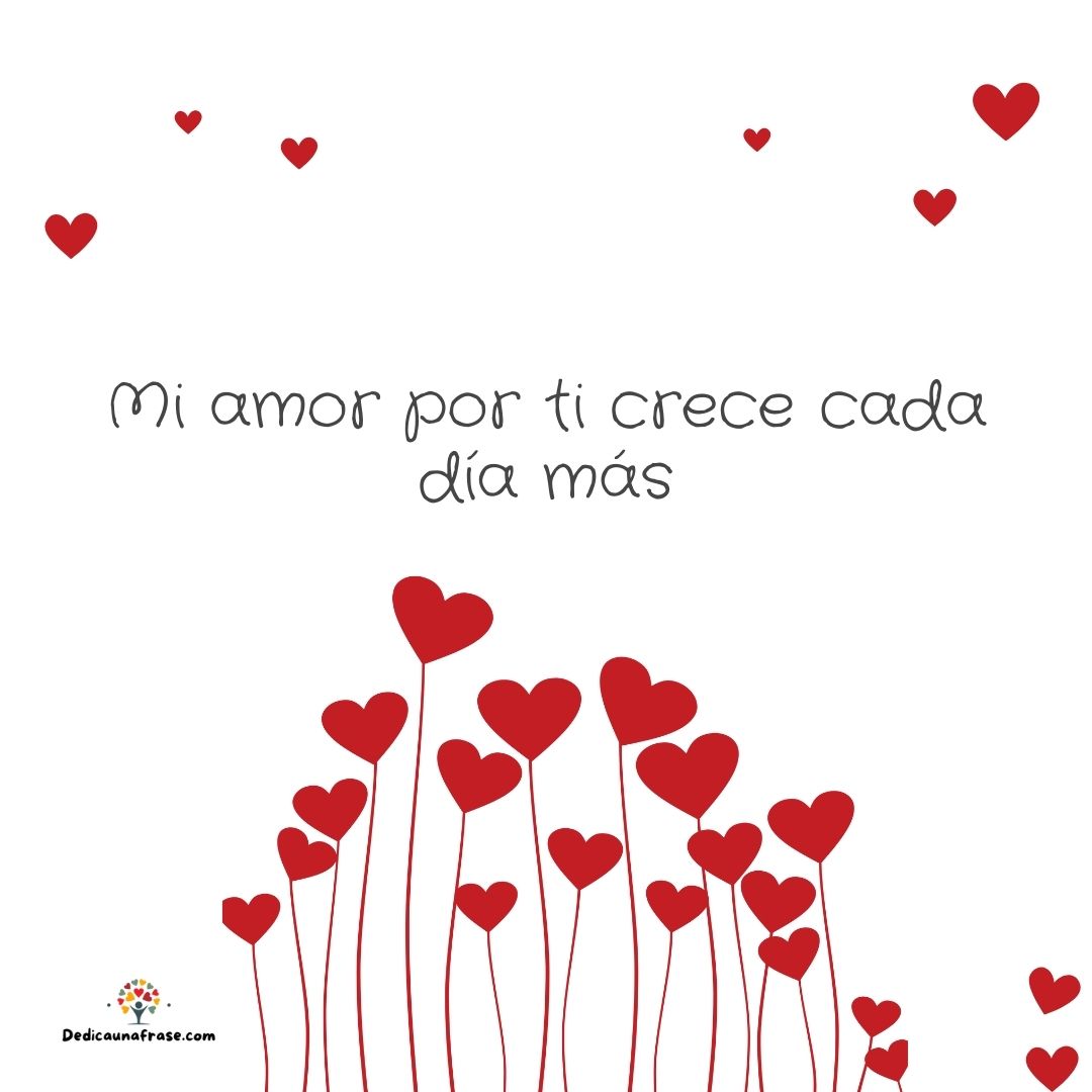 Mi amor por ti crece cada día más