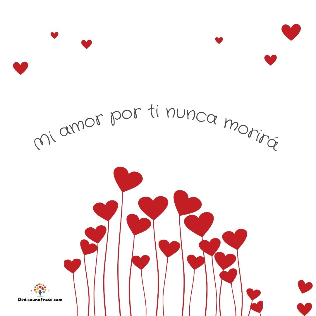 Mi amor por ti nunca morirá