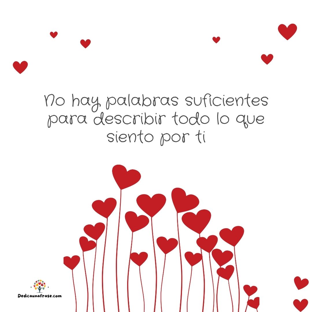 No hay palabras suficientes para describir todo lo que siento por ti
