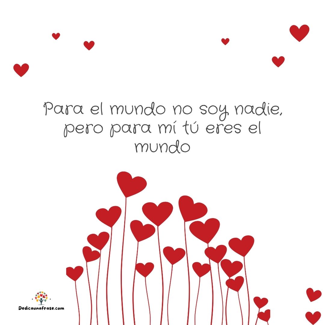 Para el mundo no soy nadie pero para mí tú eres el mundo